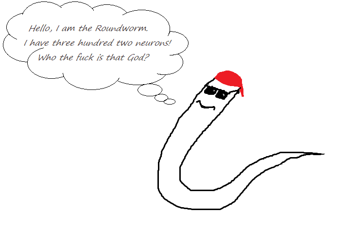 Hello, I am the Roundworm, I have three hundred two neurons!
Who the fuck is that God?
Some scientists think the same about religions. But the human mind is as limited as the mind of the roundworm. We have a good reason to be modest.